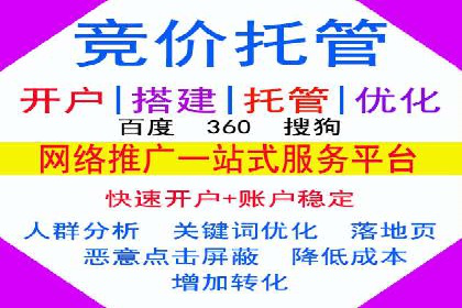 案例研究：百度竞价广告投放效果